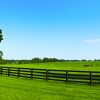 bigstock-Country-Scenery-28191197-100x100